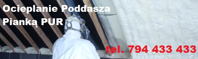 zdjecie 7037